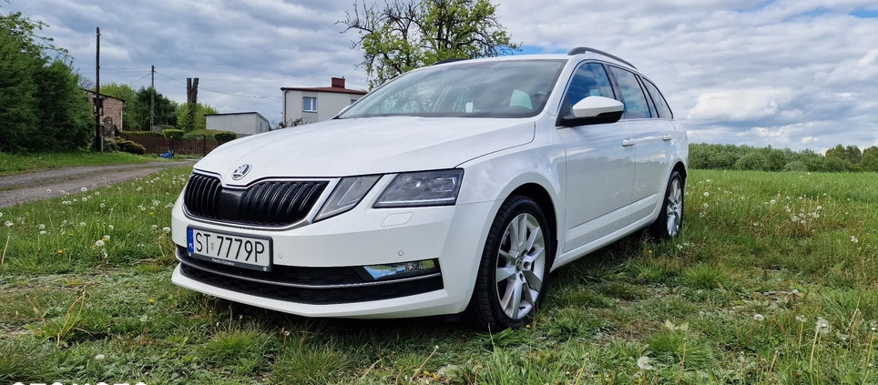 Skoda Octavia cena 90000 przebieg: 300000, rok produkcji 2019 z Mikołów małe 254